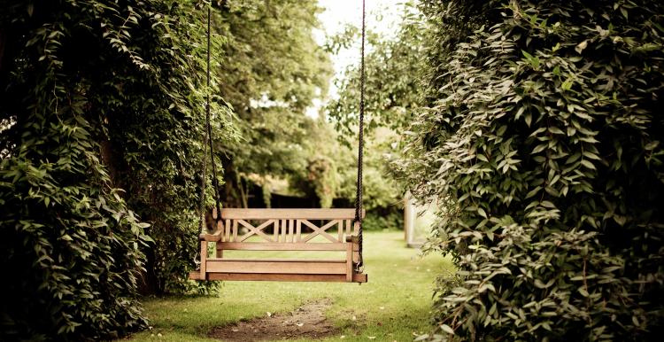 Swing bench between two bushes in a garden
