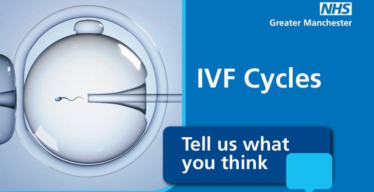 IVF Consultation