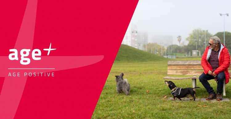 man on bench with two dogs 