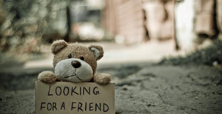 A teddy bear with a sign that reads looking for a friend 