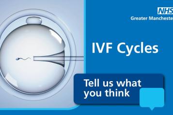 IVF Consultation 