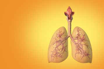 lungs
