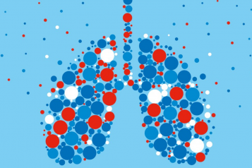 virtual image of lungs 