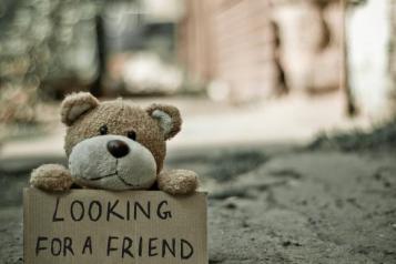 A teddy bear with a sign that reads looking for a friend 